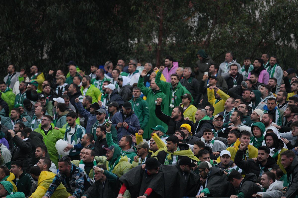 refik ozen tweet media