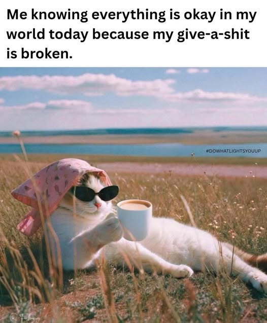 Anna 🌻💙 tweet media