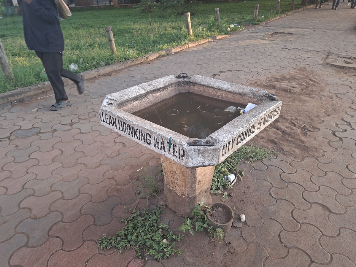 TL Elder 2 tweet media