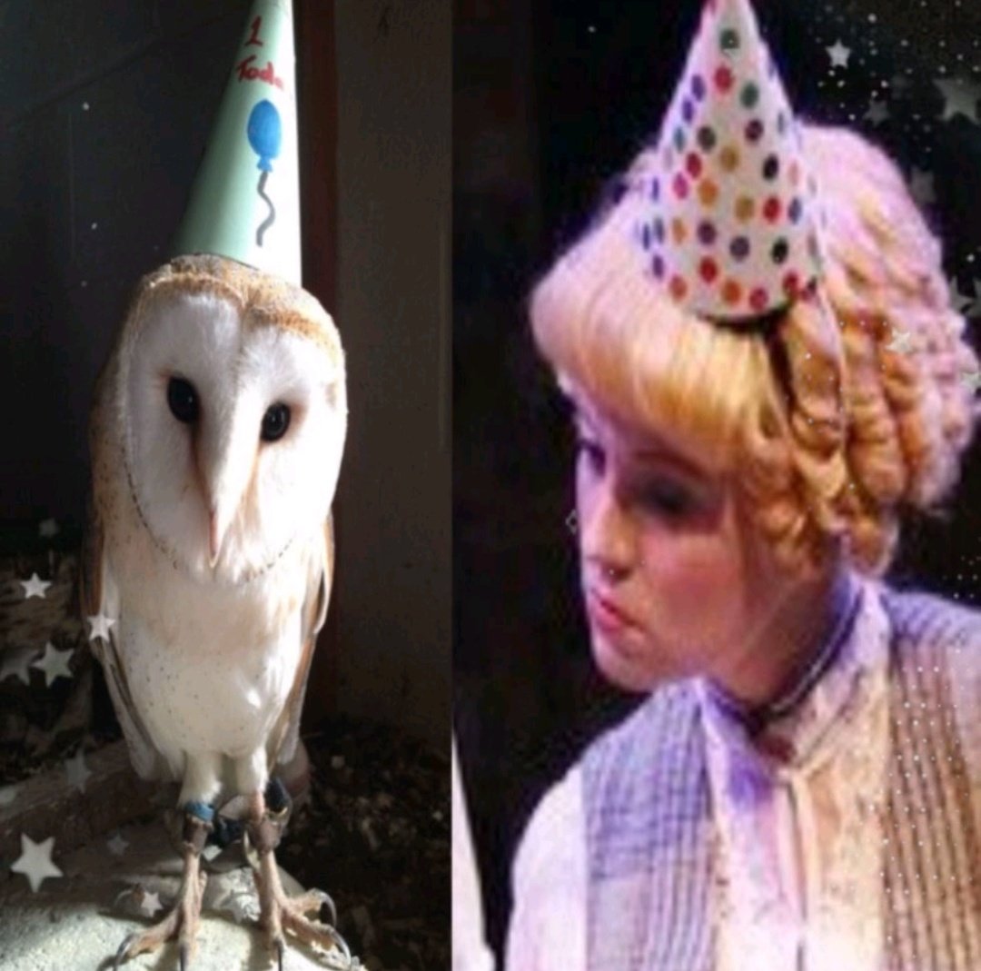 🎀🍭 tweet media