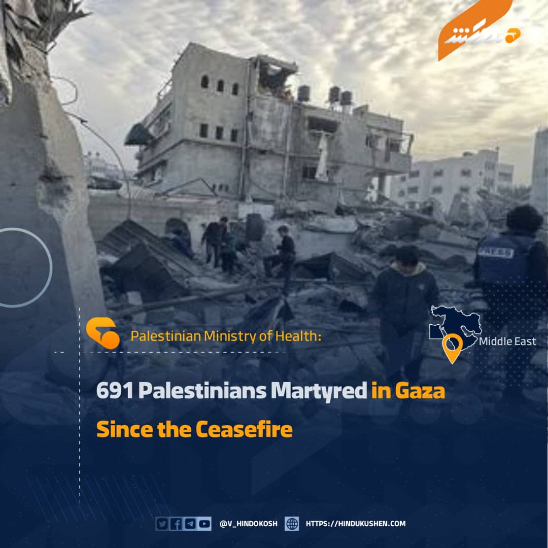 VOH (English) tweet media