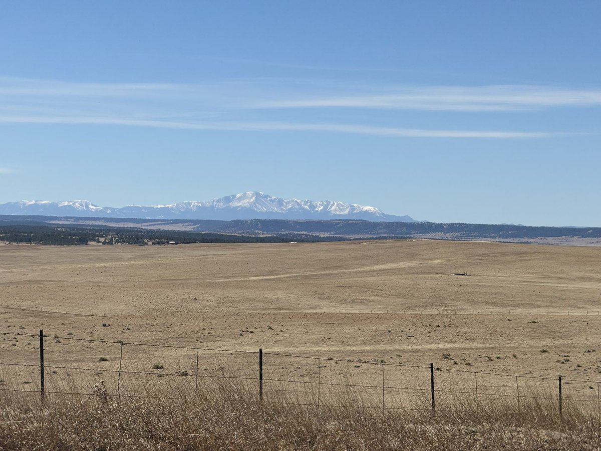 diaperedsub tweet media