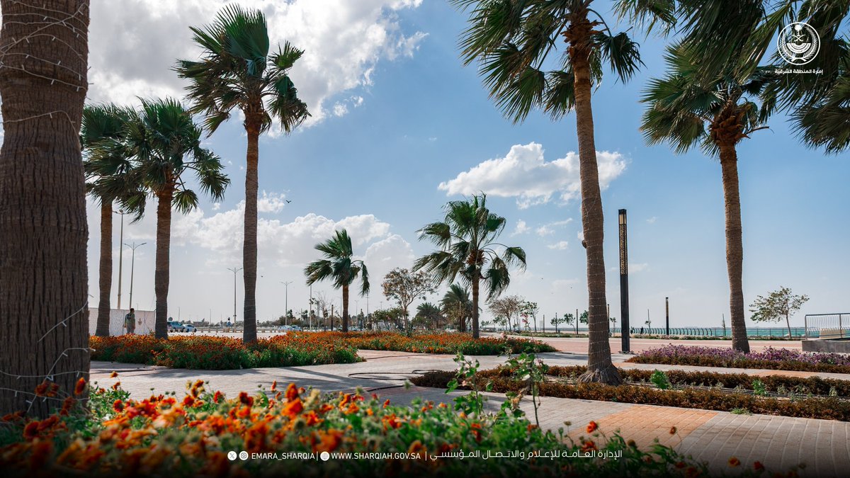 إمارة المنطقة الشرقية tweet media