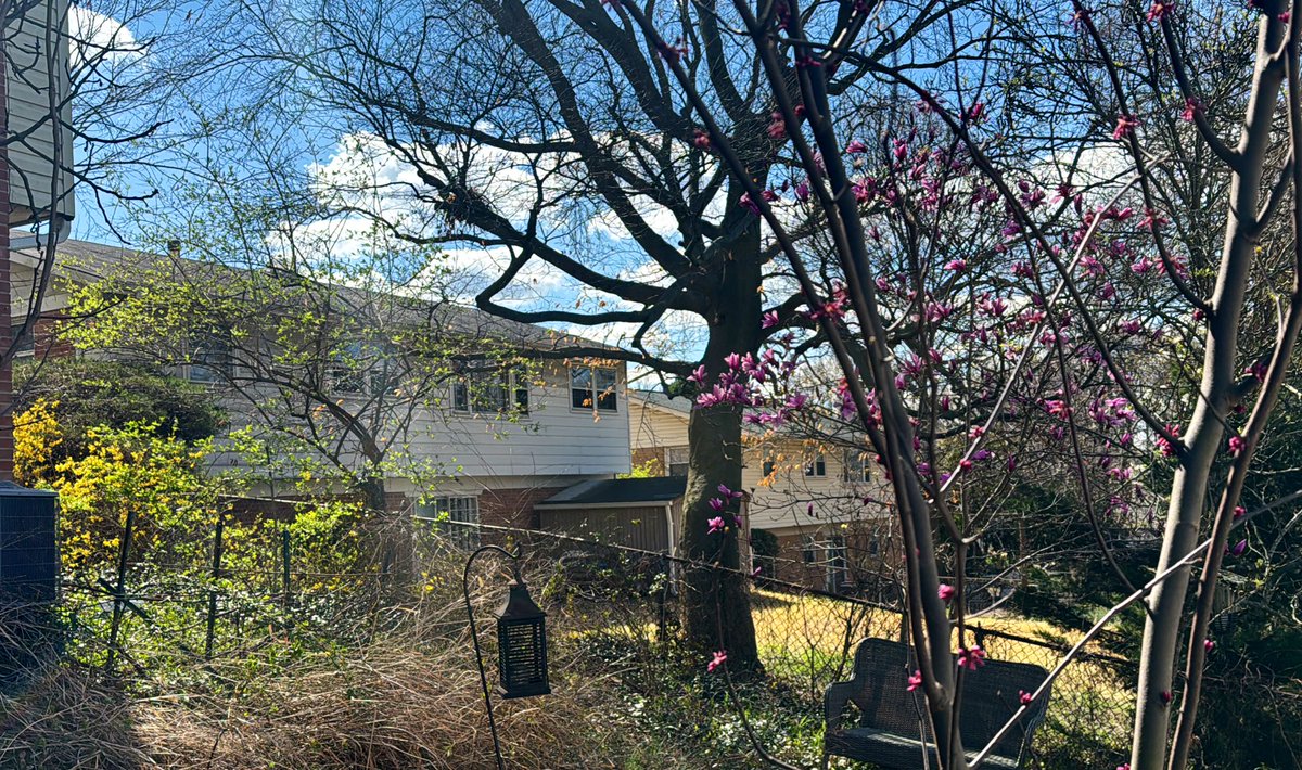 Captain Super Mom tweet media