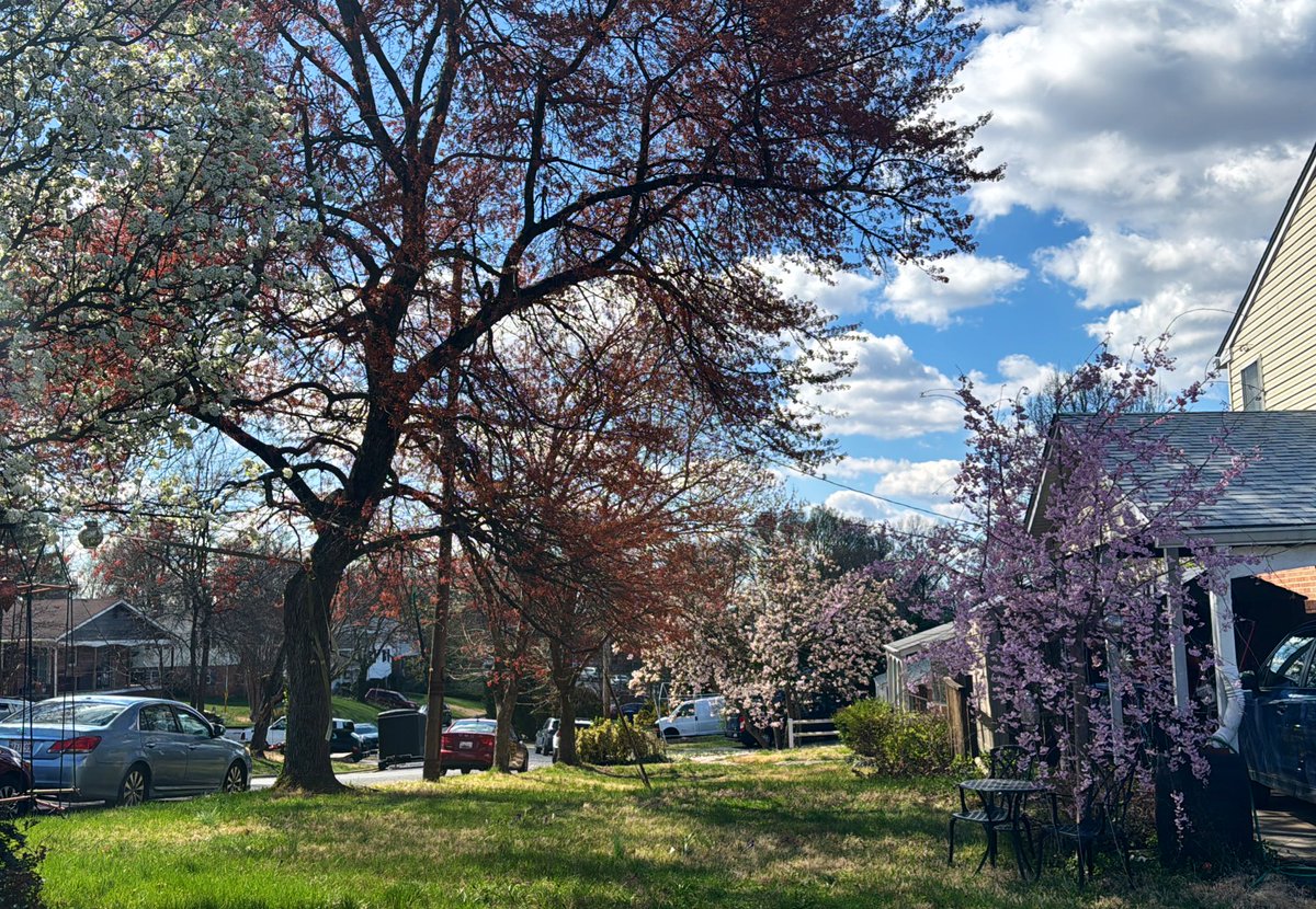 Captain Super Mom tweet media