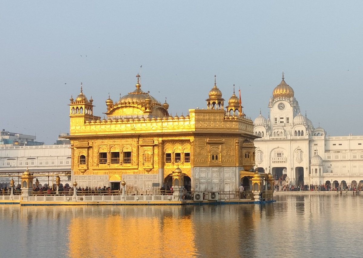 India & The World tweet media