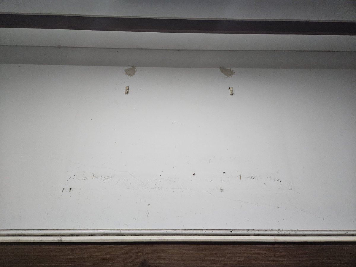 野良喵🐈社會邊緣型流浪貓實況主AKA愛發廢文愛回覆推文的怪人 tweet media