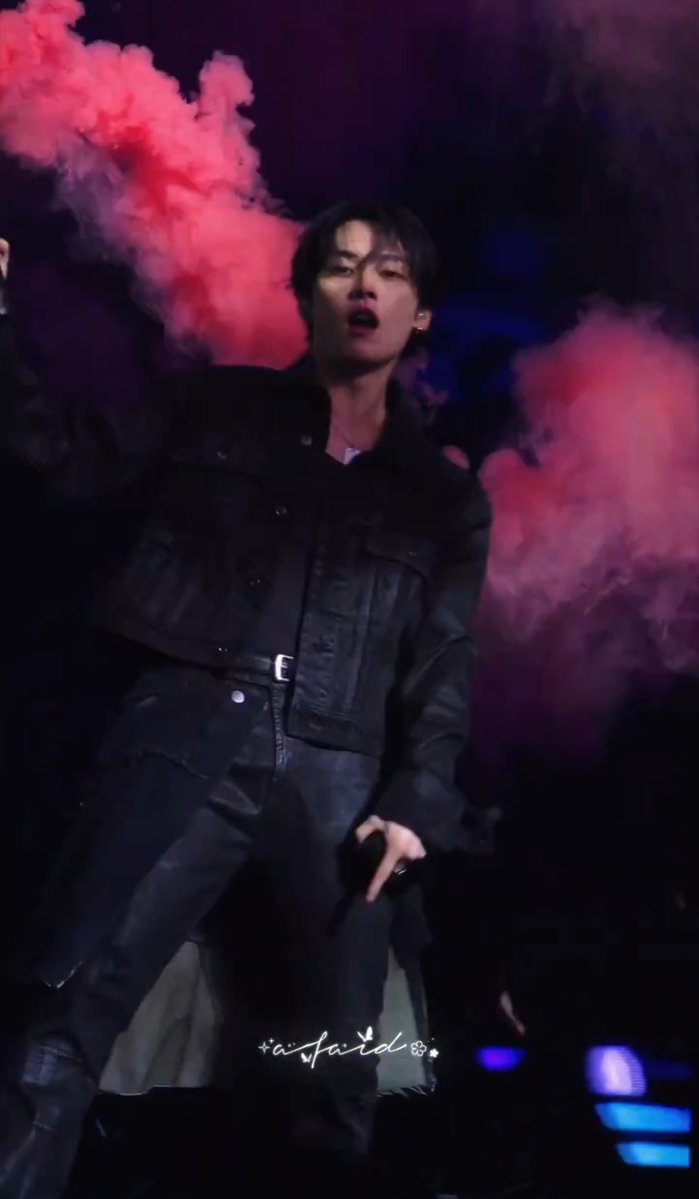 ❅ hae quokka VIO A SKZ tweet media