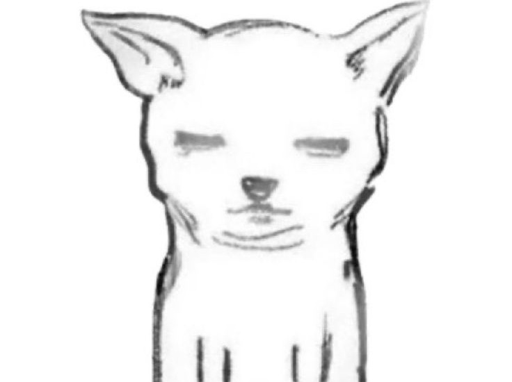 키라짱 tweet media