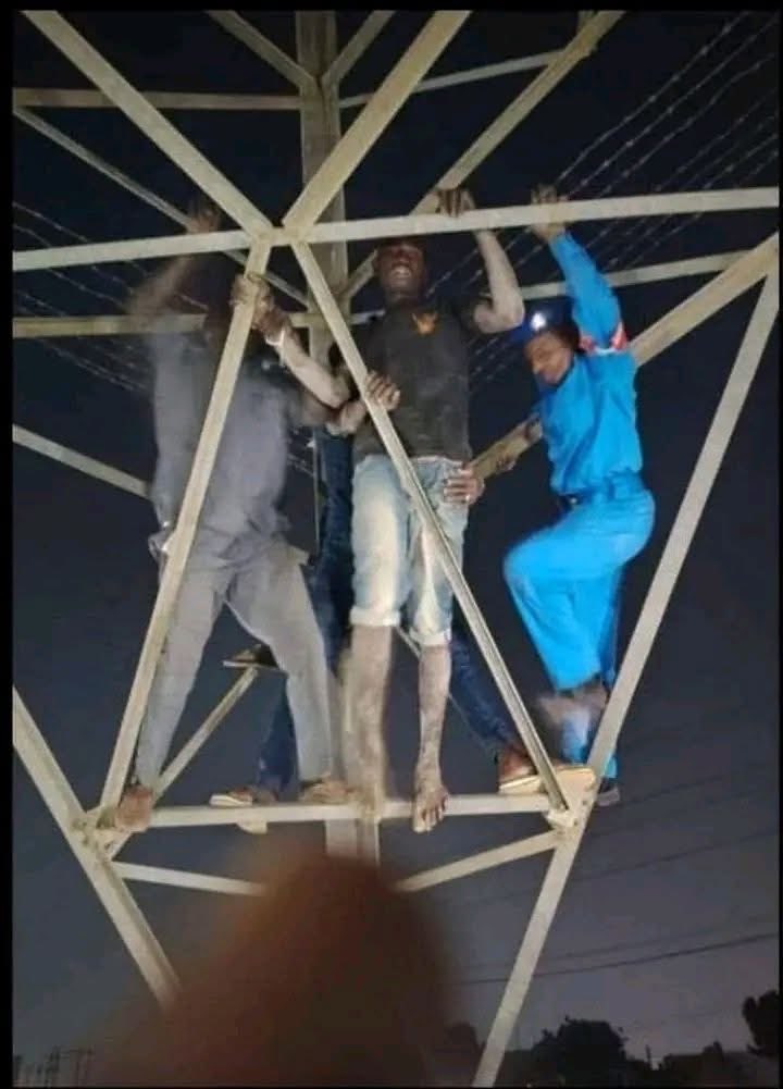 Salma | سلمى 🦋 tweet media