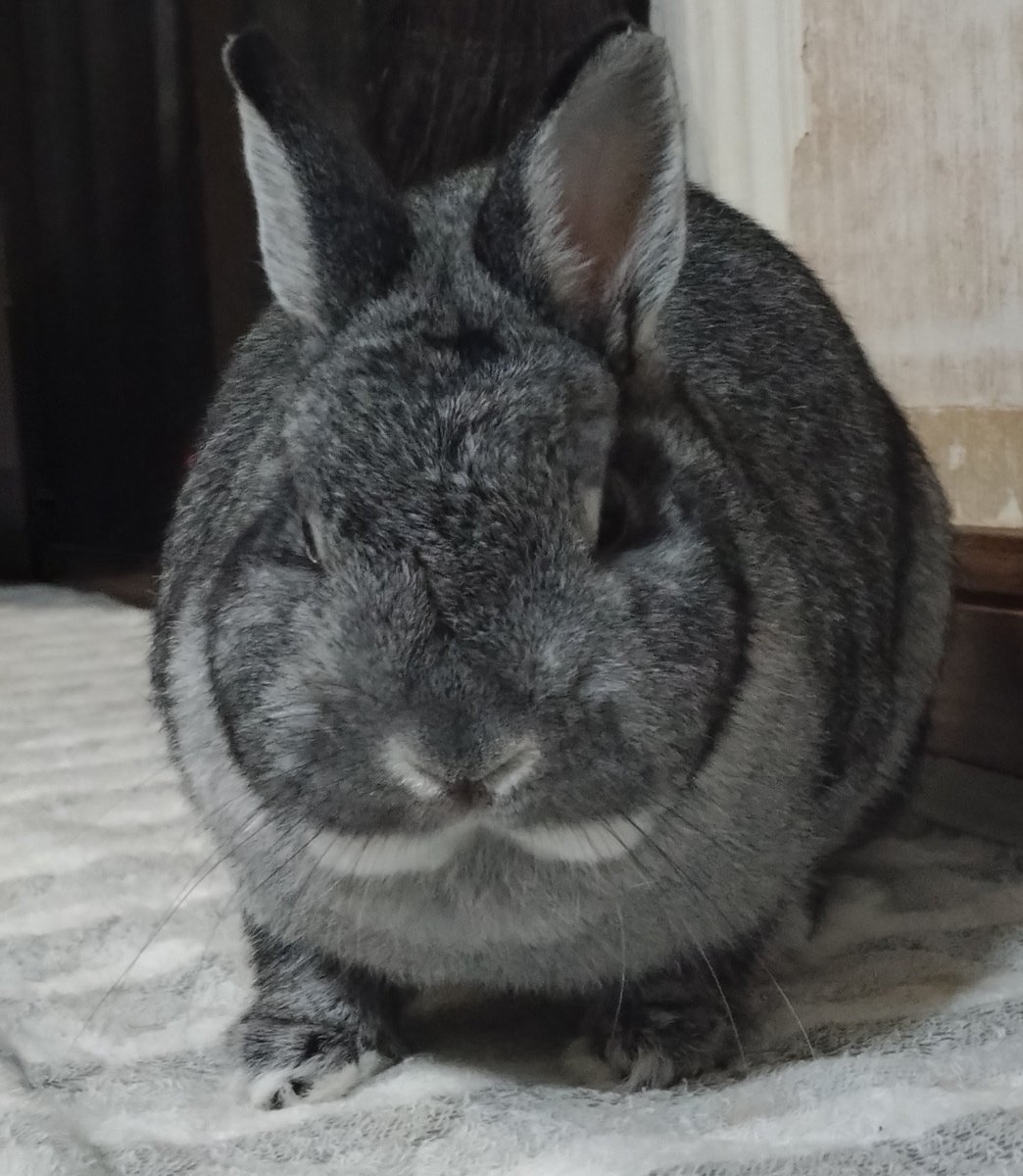 シン🐰→(シンさん)山の民 tweet media