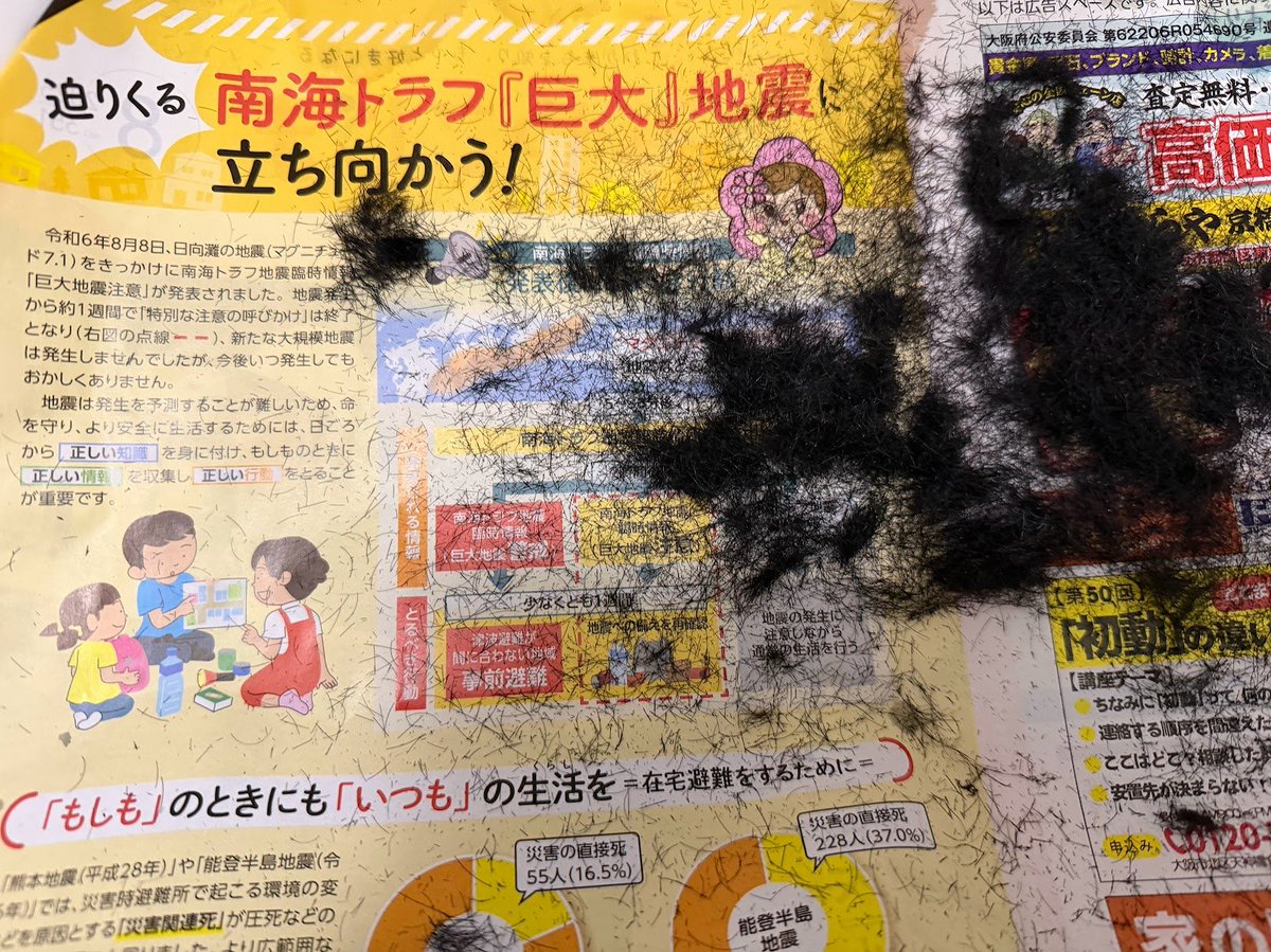 せっつこ@サボリーマン tweet media