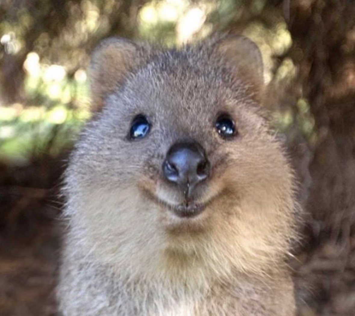 ꒰ঌ maririn ໒꒱ tweet media