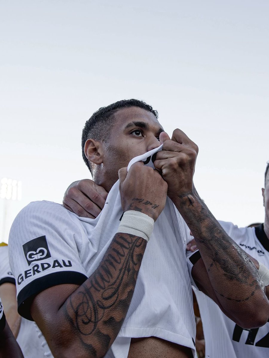 CANAL BICA GALO tweet media