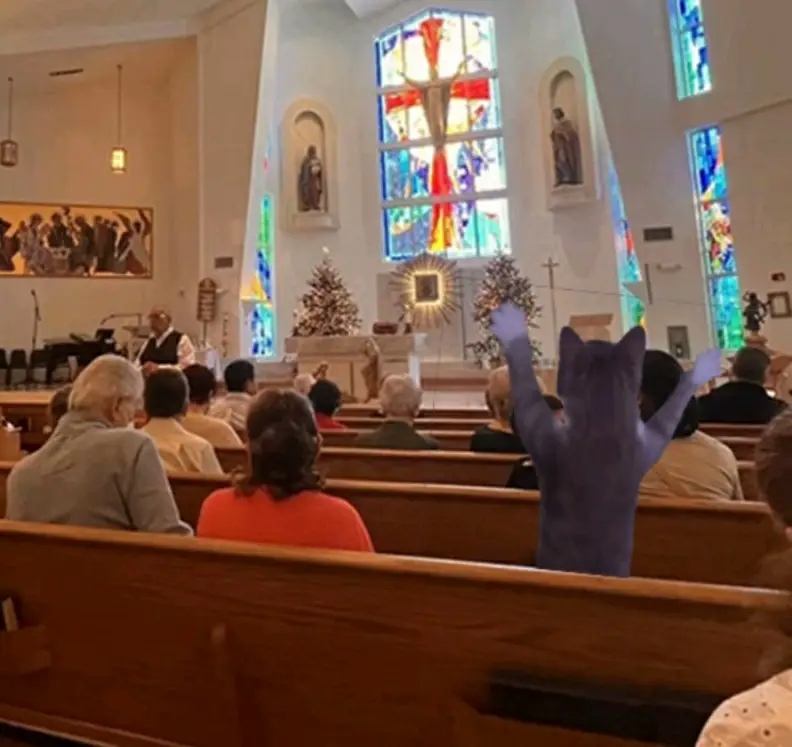 Tank🦈 tweet media