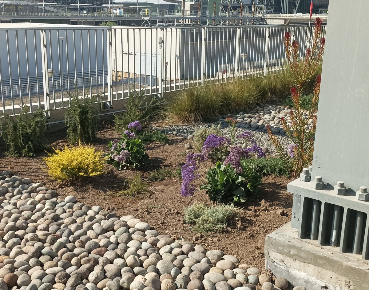 Oh! laco mosta 🕷️💫 tweet media