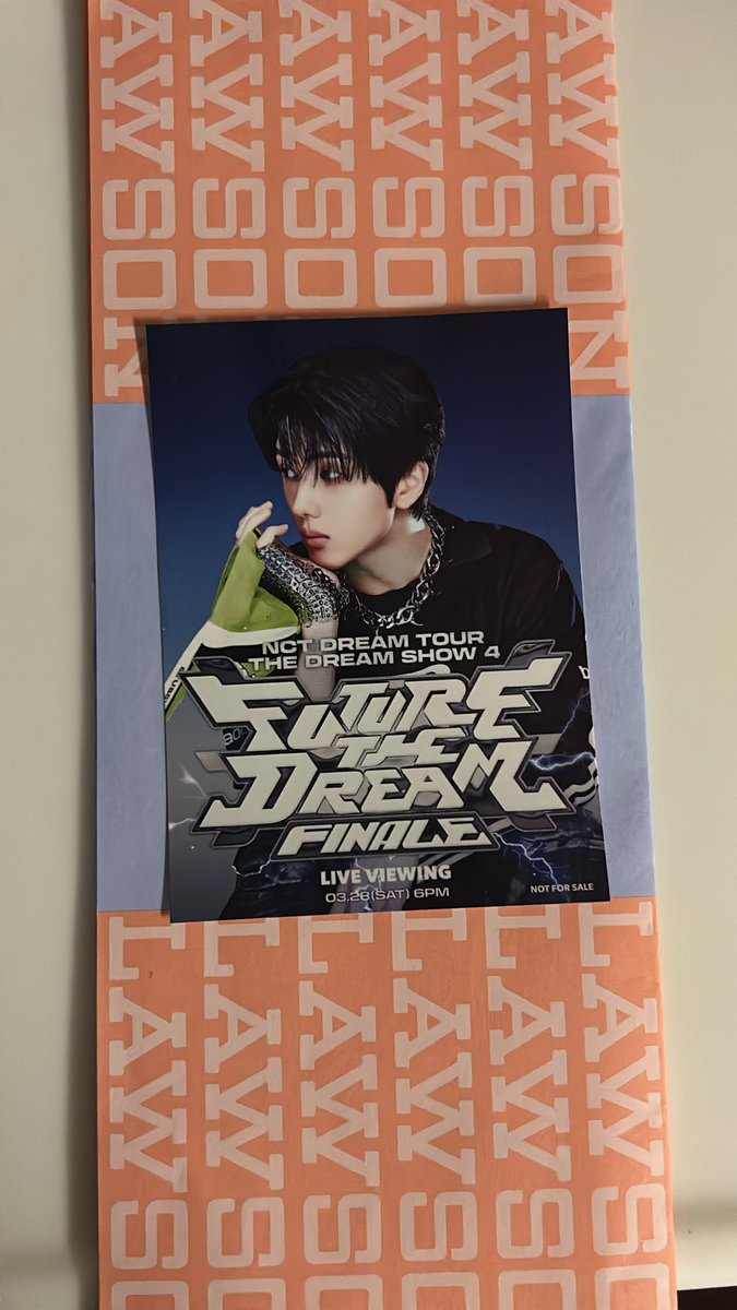 🐬🪼🏝 tweet media