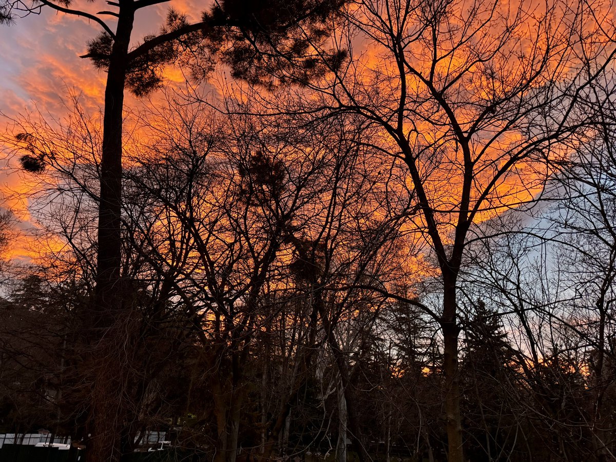 გრეგი tweet media