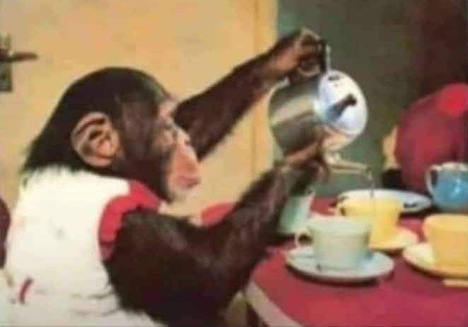 vïřüšį tweet media