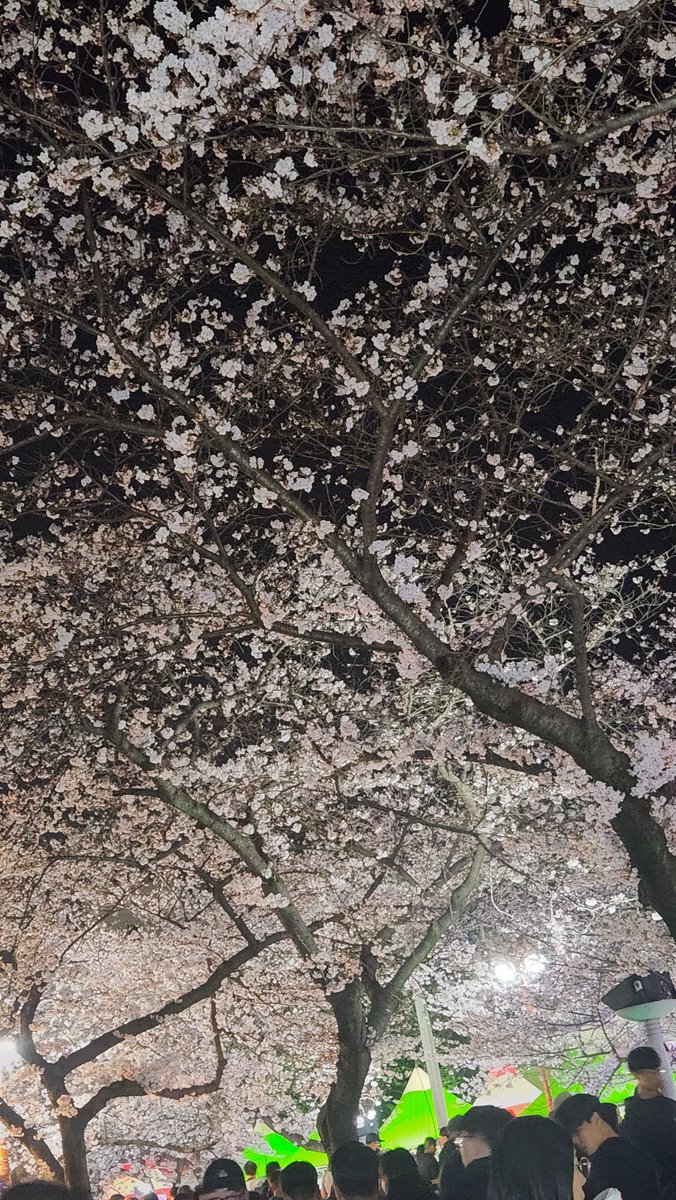 HHome🕯 tweet media