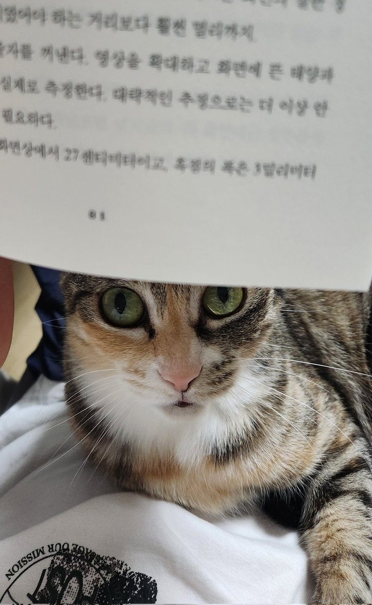 bandal_mzzi's tweet photo. 아주 최신 근황 https://t.co/7WXwxnkFZF