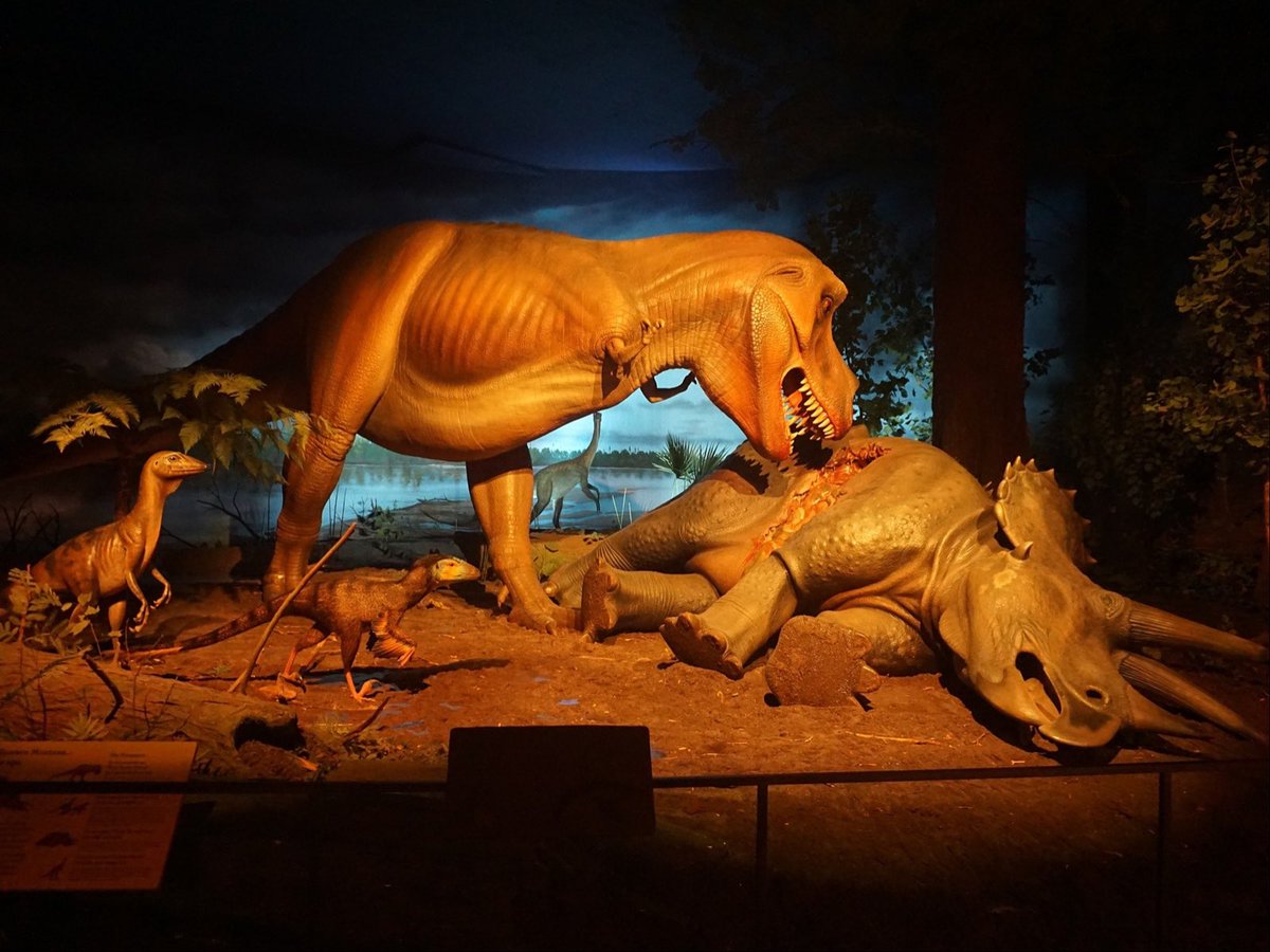 Evan Rytlewski tweet media