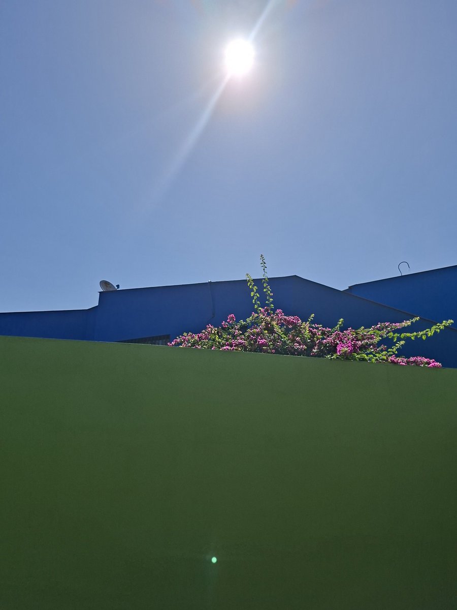 Rafael García Marvez. tweet media