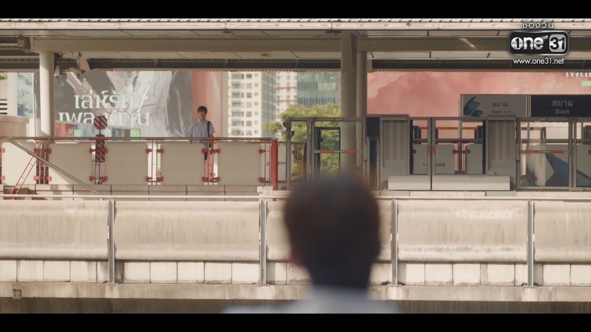 ꜱᴜɴꜰʟᴏᴡᴇʀ ̆̈ tweet media