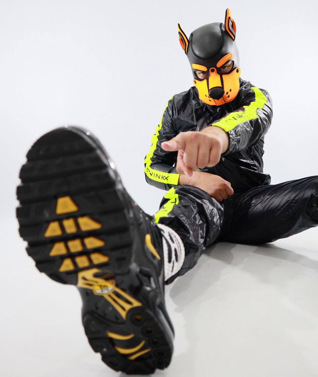 RoRo_pup.dl tweet media