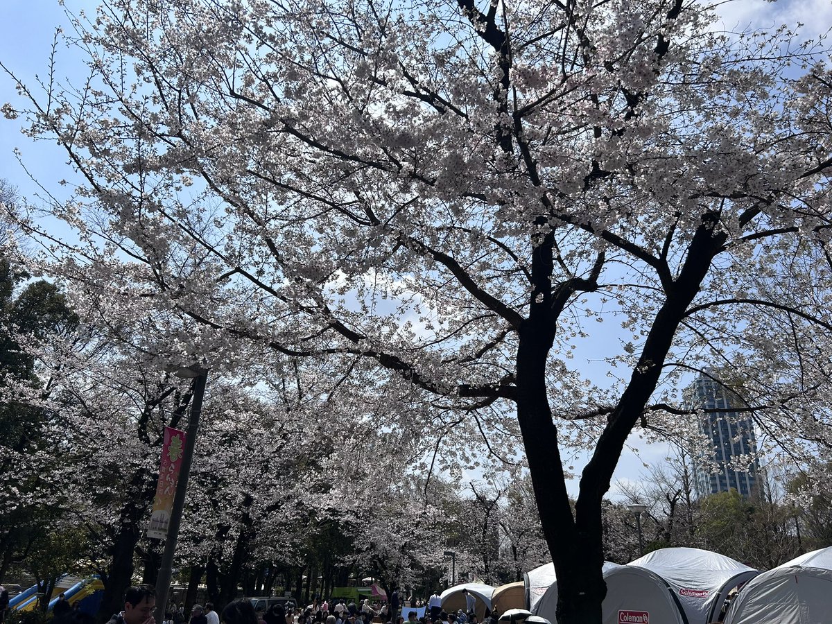 よっしー tweet media