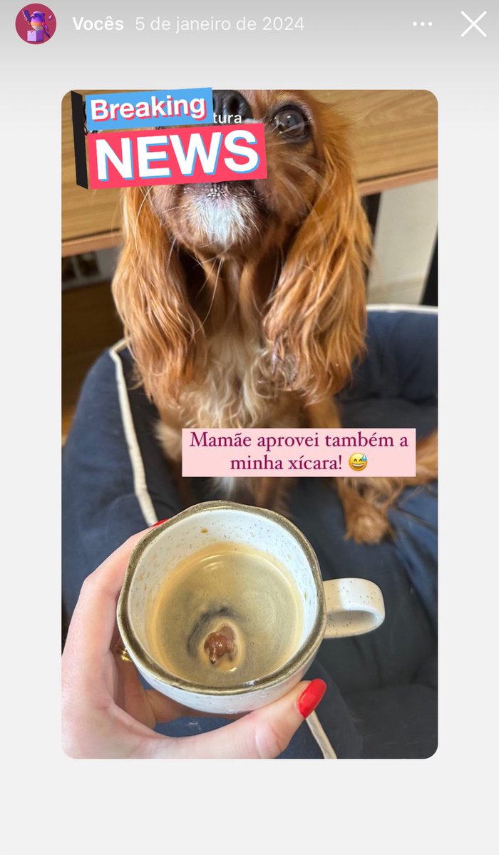 Lara Rothier tweet media