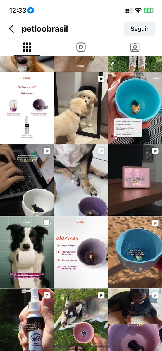 Lara Rothier tweet media