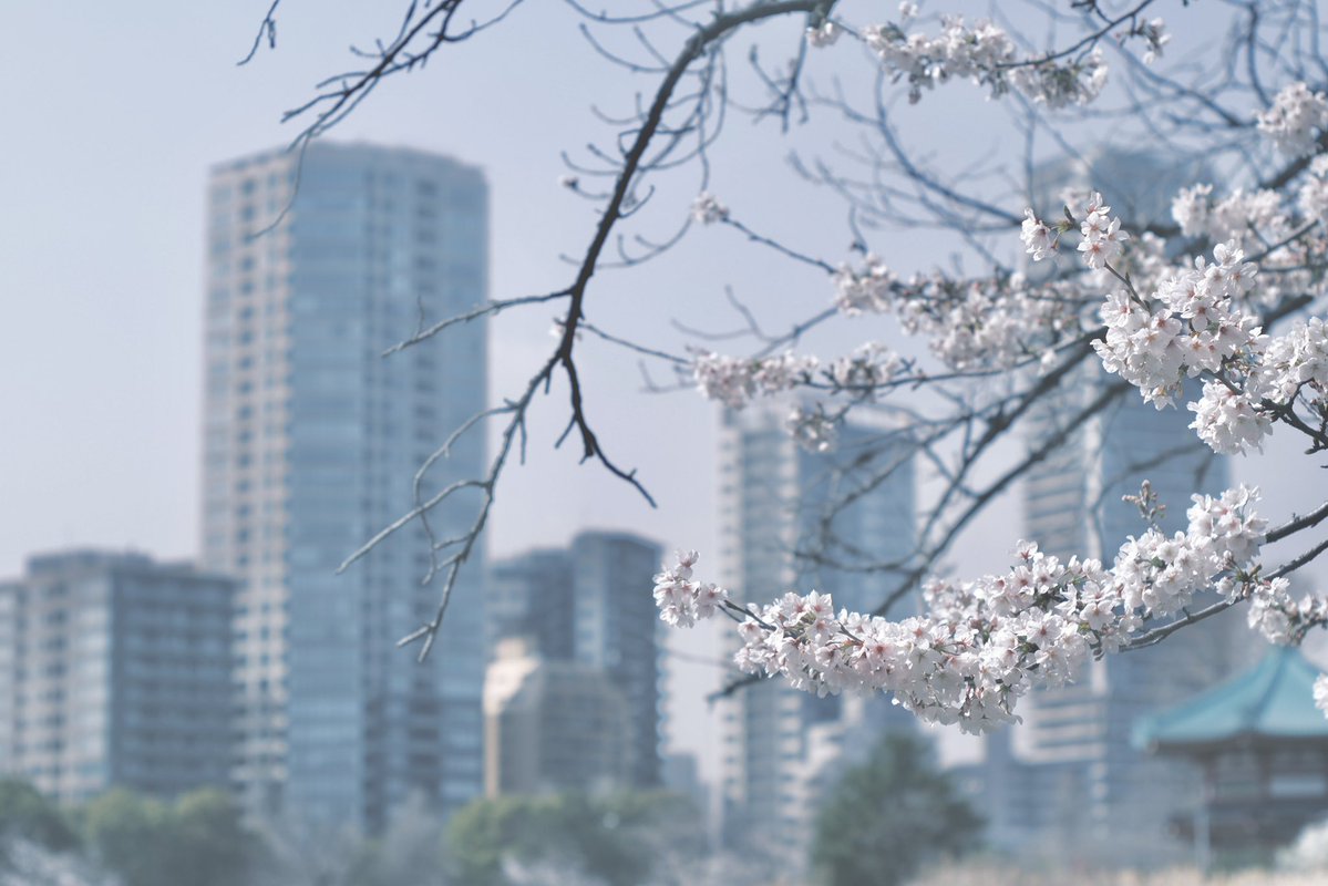 FUKUDA Toru 福田 亨 tweet media