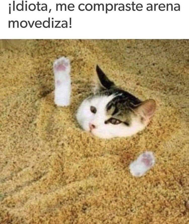 CriBeLoCRYS tweet media