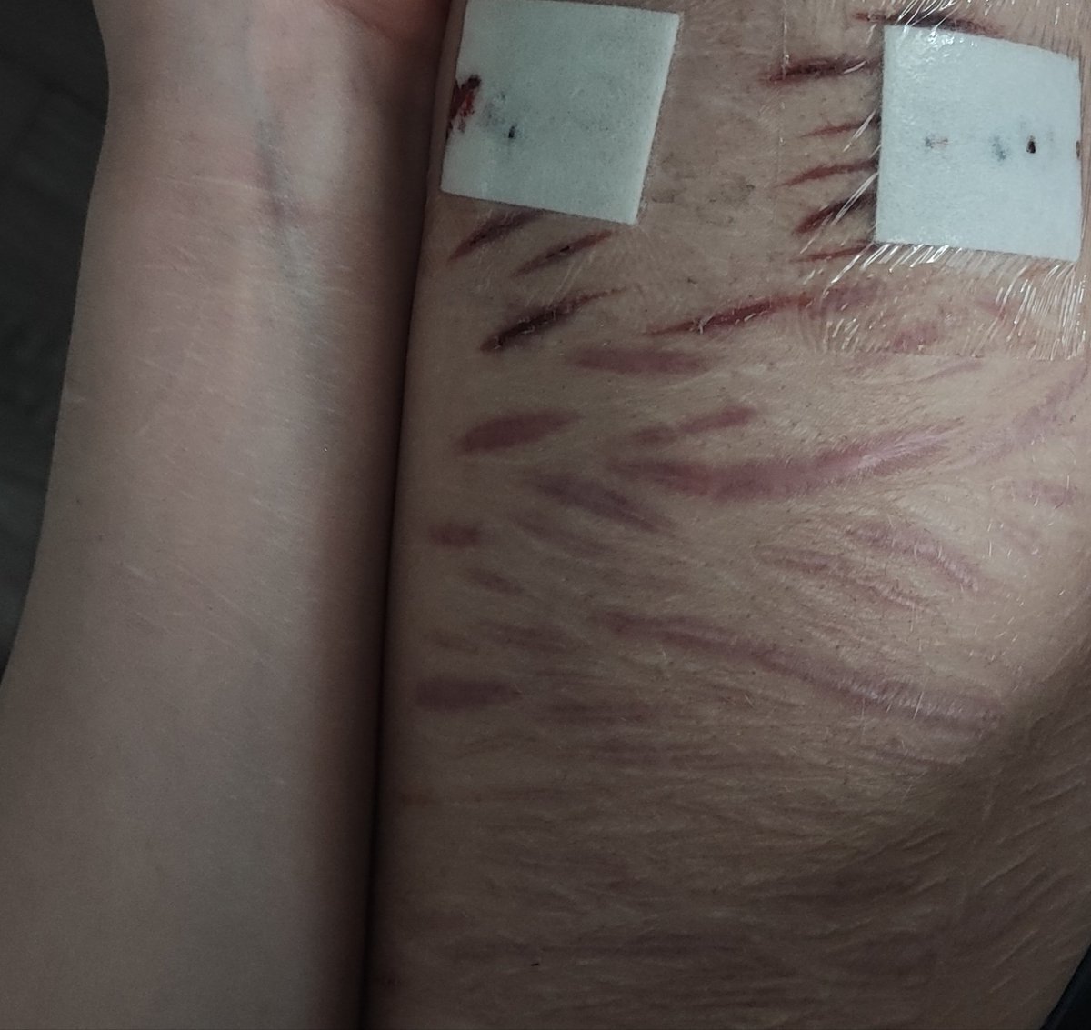 Syl | shedtwt & kleptotwt tweet media