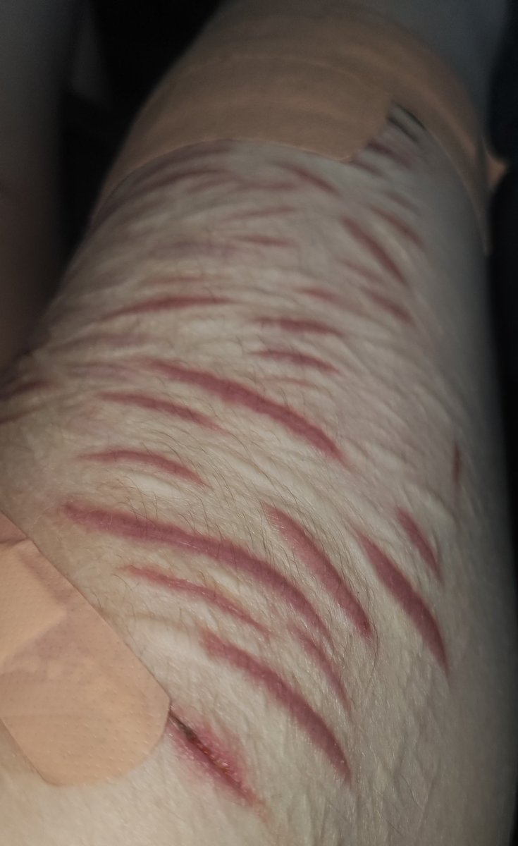 Syl | shedtwt & kleptotwt tweet media