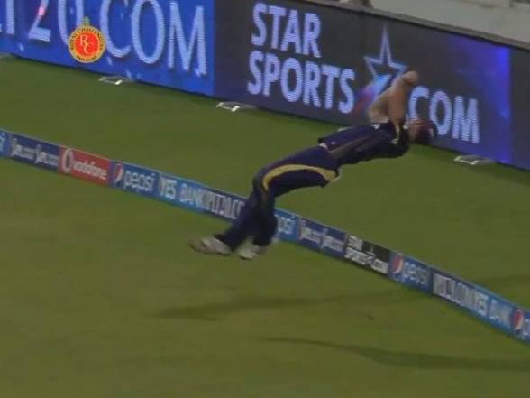 Office of the Ducks of Cricket tweet media