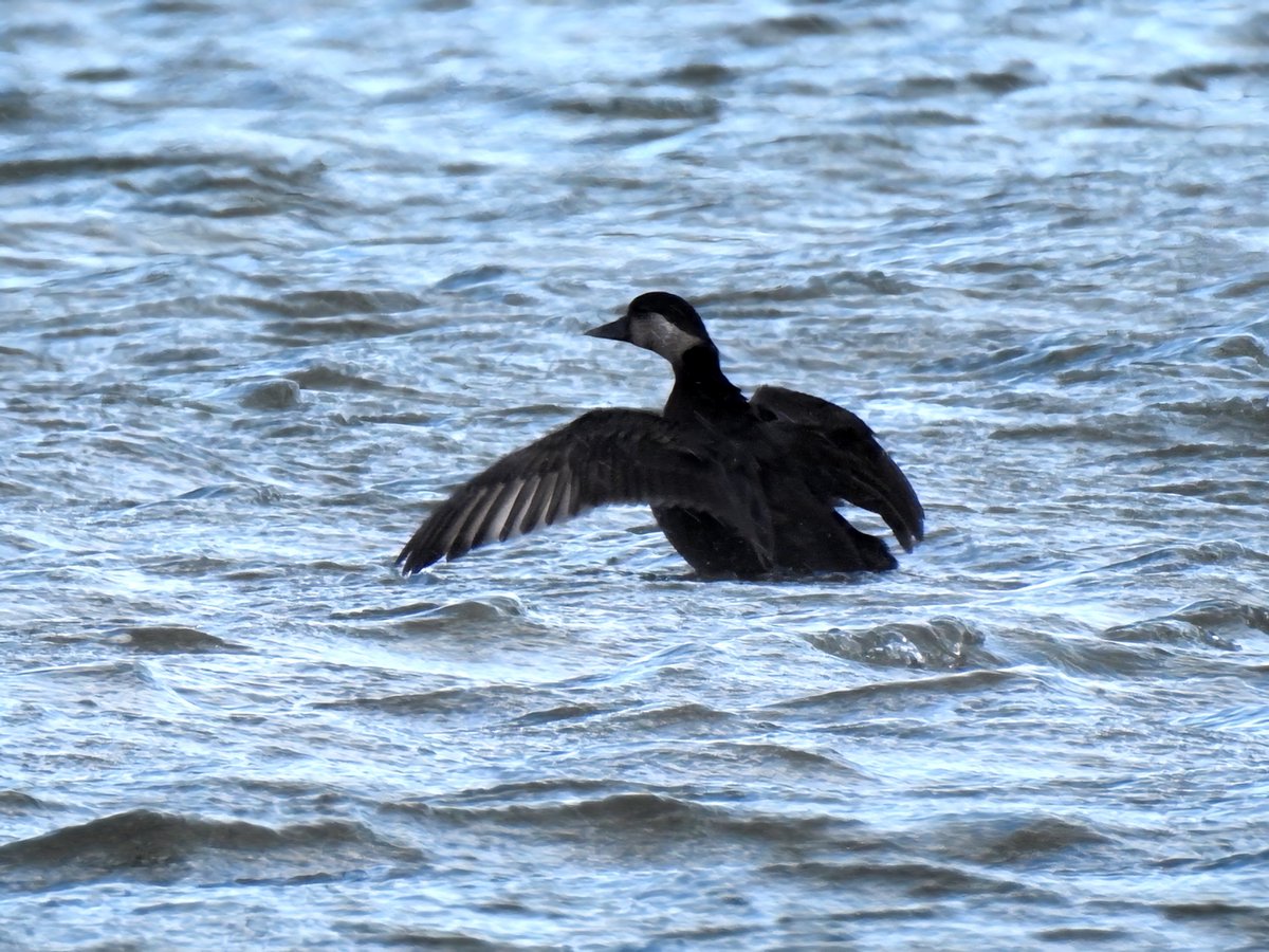 Gary Stones tweet media