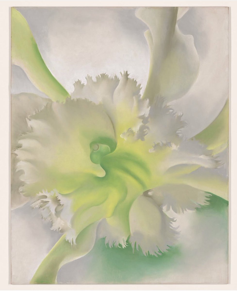 cayevillodres tweet media