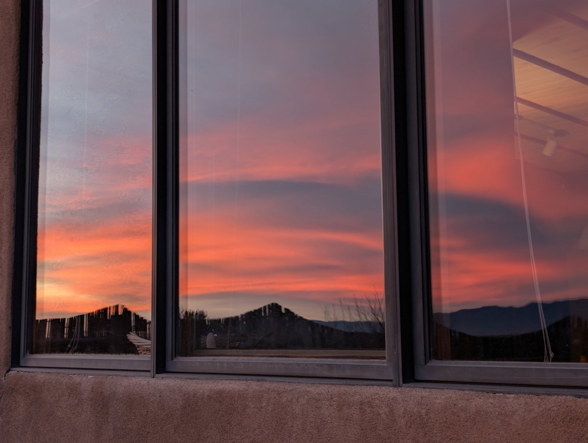 Loralee Logan 🌻🌻🌻 tweet media