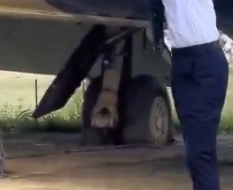 John Jones tweet media