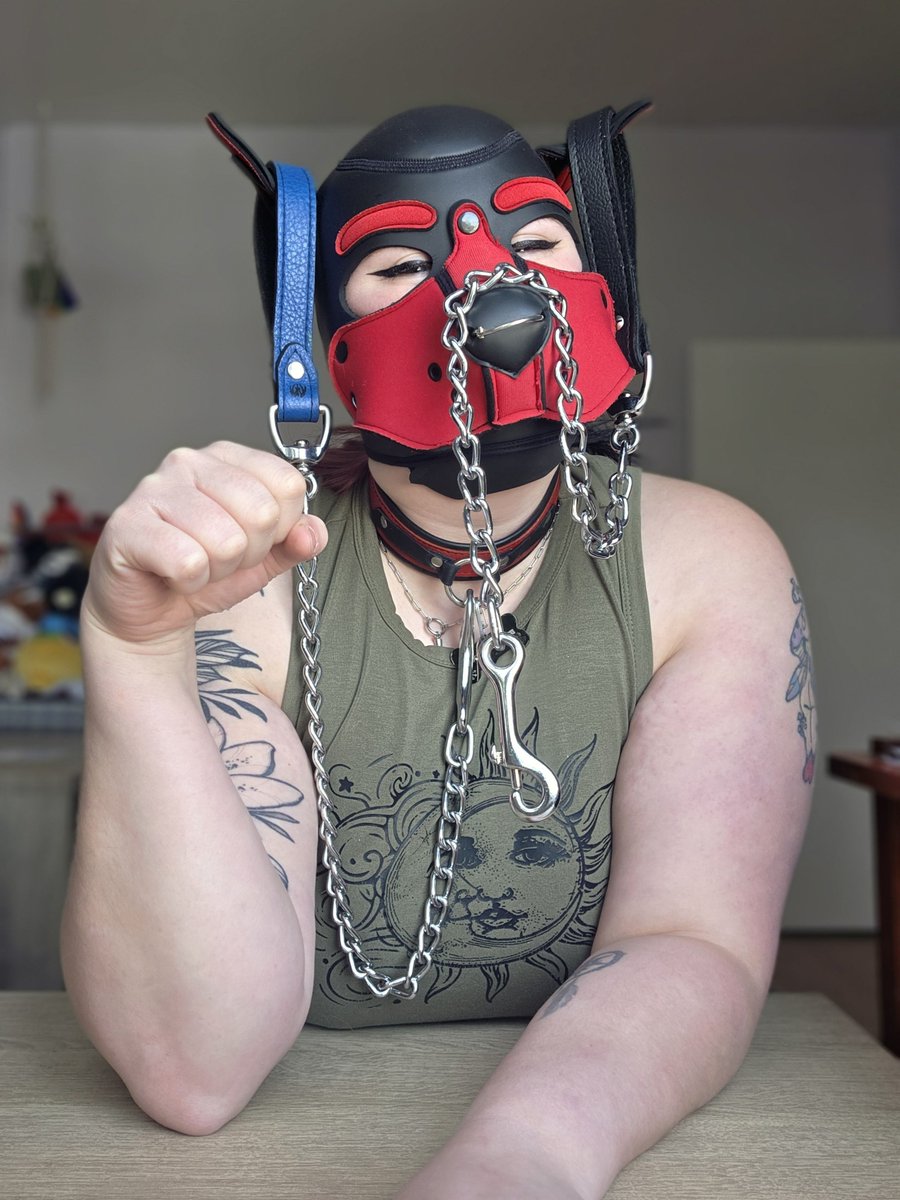 Vixen Mayhem tweet media