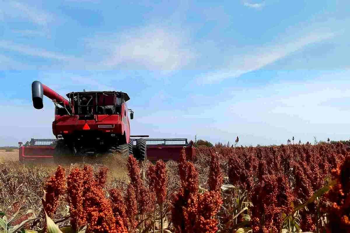 Ruralnet tweet media