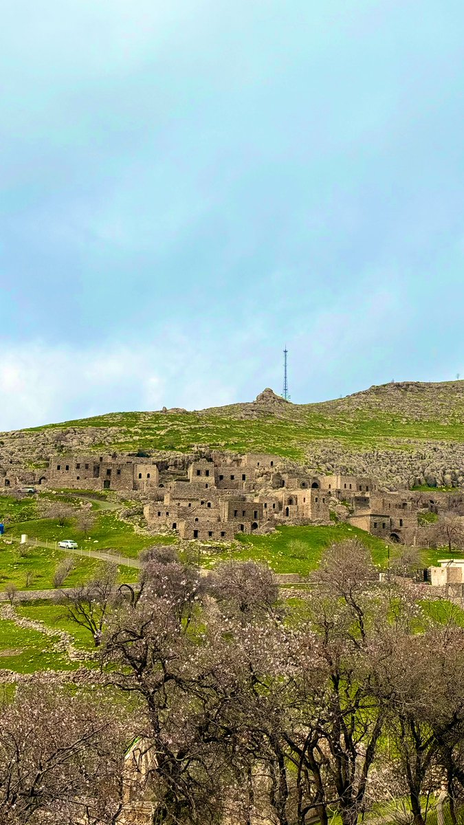 Doktorus tweet media