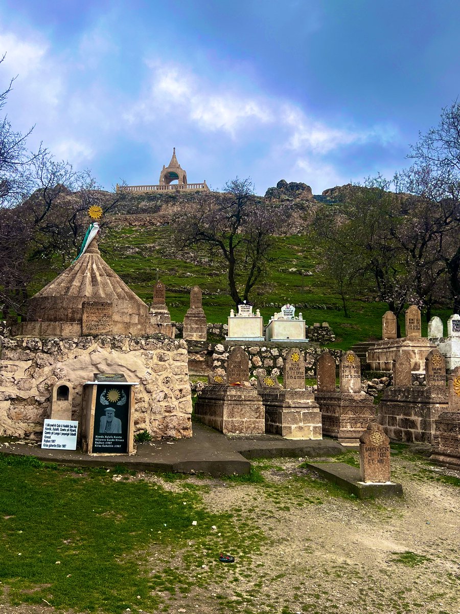 Doktorus tweet media