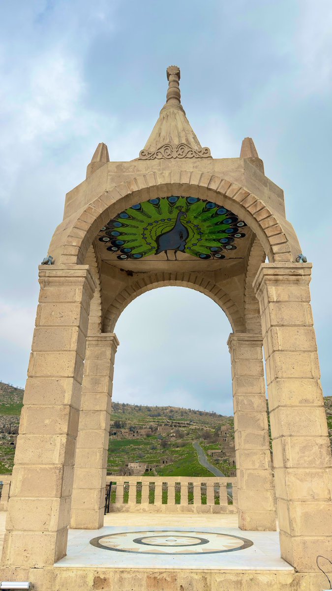 Doktorus tweet media