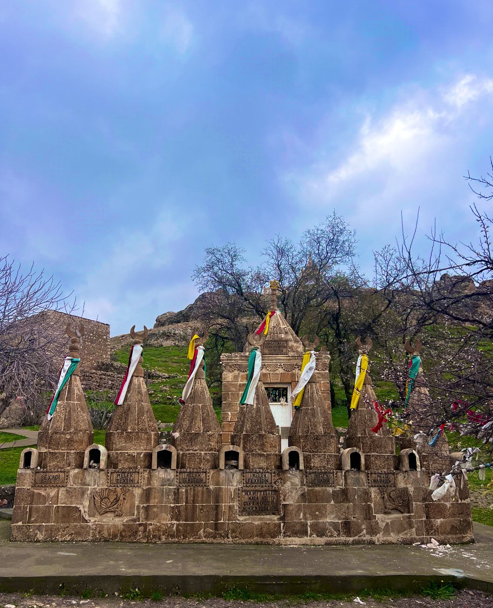 Doktorus tweet media