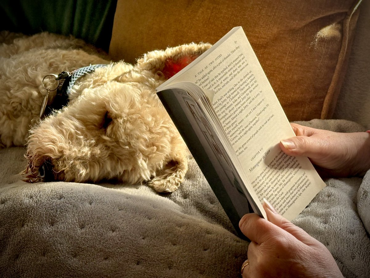 _57dB's tweet photo. Saturday afternoons with Charles Dickens and the Alfmeister on a heated blanket 💥#olddog https://t.co/Nc5Z3RtK0U