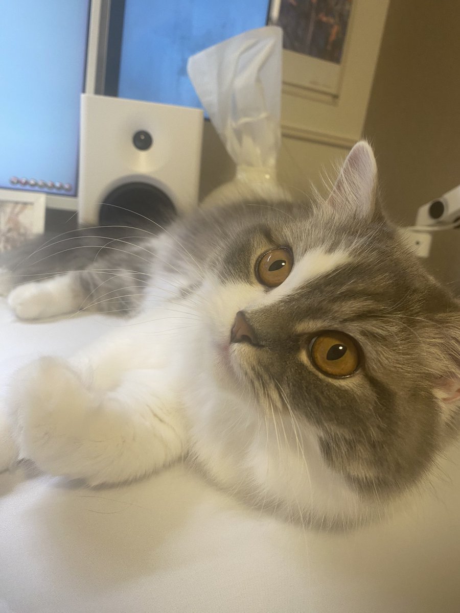 ᴏʜᴀɴ ✿¨̮ tweet media