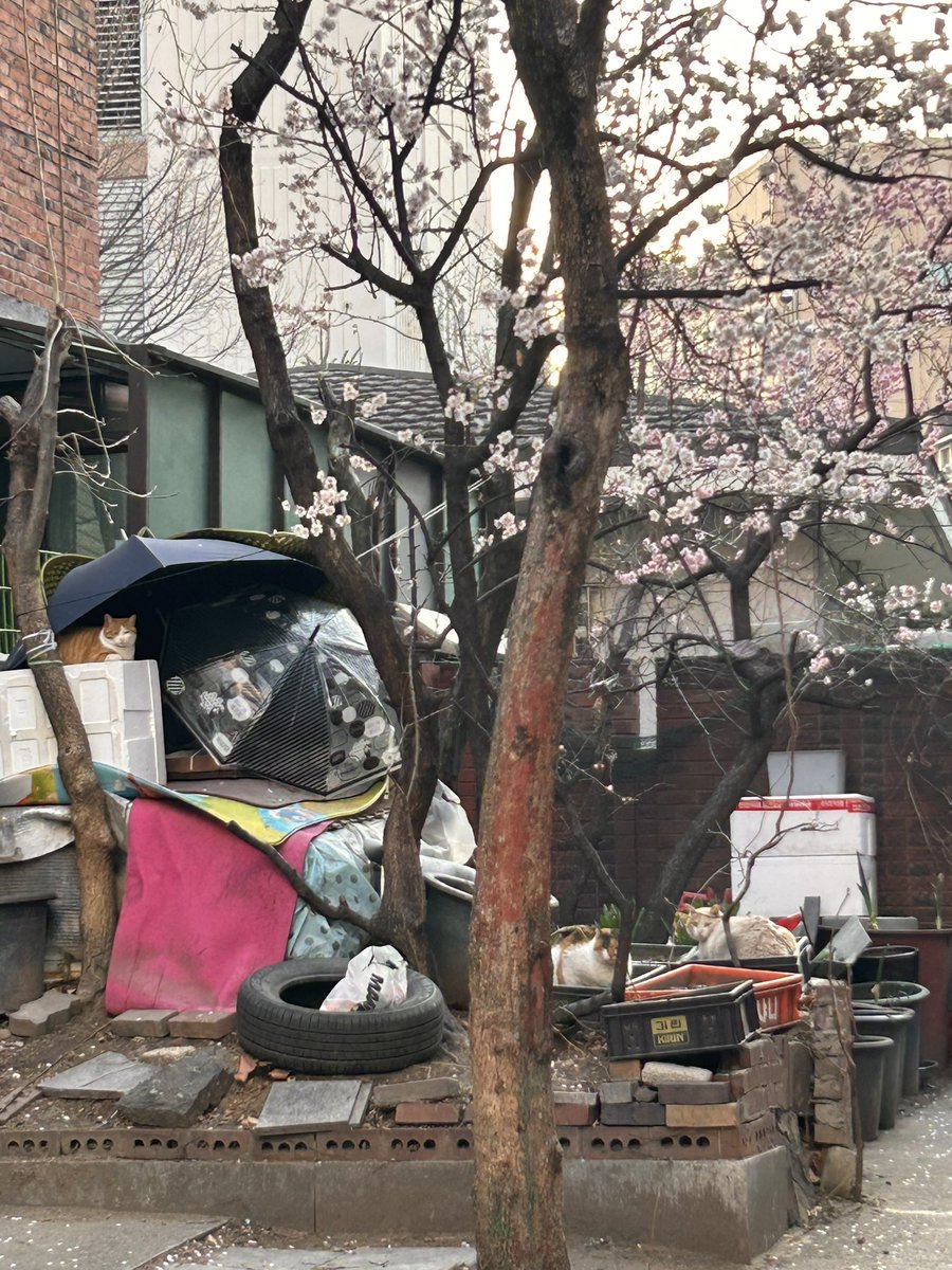 놀고먹고싶은개미 tweet media